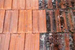 East Hanningfield Roof Cleaning