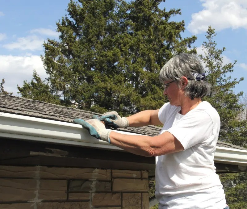 Gutter Cleaning Services
